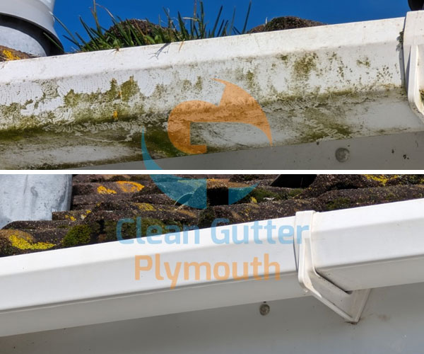 Gutter Cleaning Liskeard | Gutter Cleaners Liskeard | Gutter Unblocking Liskeard | Clean Gutters Liskeard